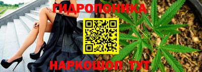 PSILOCYBIN Можайск