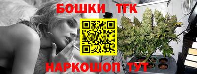 дживик Можга